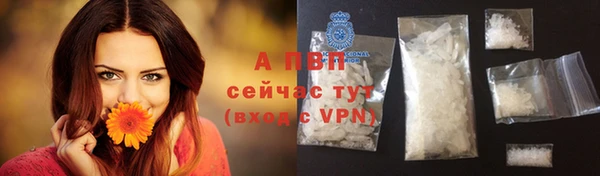 стафф Баксан