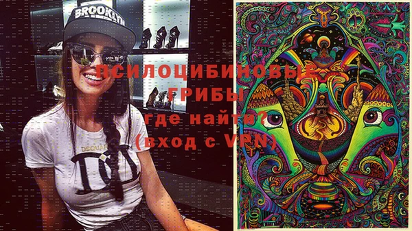 гидра Балабаново