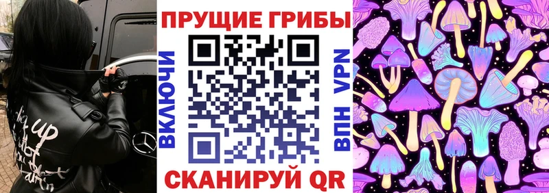 KRAKEN ONION  Высоцк  Псилоцибиновые грибы GOLDEN TEACHER 